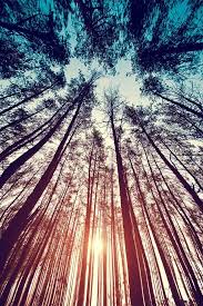 Random Inspiration 16 Nature Photography Landscape Photography Amazing Photography