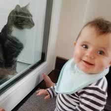 Nicht Unsre Katze Aber Sie Kommt Zweimal Taglich Um Das Kind Zu Belustigen Gute Katze Catsofinstagram Beautiful Babies Baby Face Face Instagram