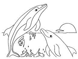 If your child loves interacting. Free Printable Dolphin Coloring Pages For Kids Ocean Coloring Pages Dolphin Coloring Pages Fish Coloring Page