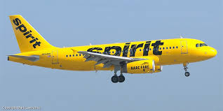 Image result for spirit air