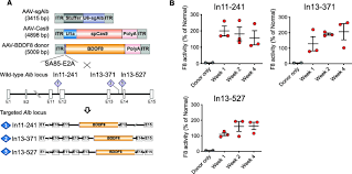 Ida, t%rdapat in.us atau *idun. Curing Hemophilia A By Nhej Mediated Ectopic F8 Insertion In The Mouse Genome Biology Full Text