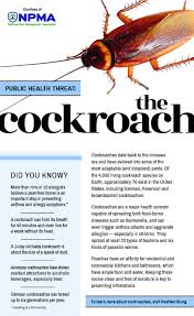 Don't worry we will help out you! A1 Exterminators And The Npma Would Like To Share Information On The Health Risks Of Cockroaches For More Roach Co Cockroaches Cockroach Control Roach Control