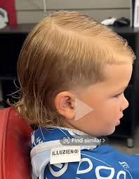 Tapered mullet haircut recommendations in Lafayette
