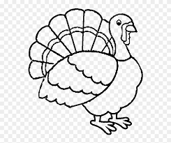 When a child colors, it improves fine motor skills, increases concentration, and sparks creativity. Best Turkey Printable Coloring Pages For Kids Boys Thanksgiving Turkey Coloring Pages Free Transparent Png Clipart Images Download