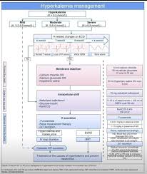 Image result for Hyperkalemia Management