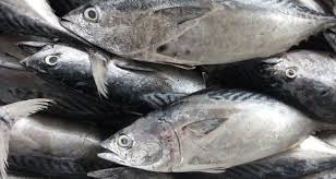 3.079 resep tongkol kecap ala rumahan yang mudah dan enak dari komunitas memasak terbesar dunia! Resepi Ikan Tongkol Masak Kicap 14 Kitpramenulis