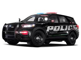 Image result for Arizona Beige 2024 Interceptor