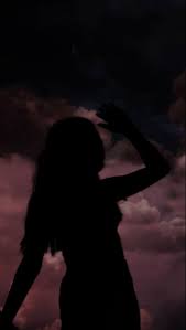 Sunset Silhouette Photo In 2021 Silhouette Photos Shadow Pictures Moonlight Photography