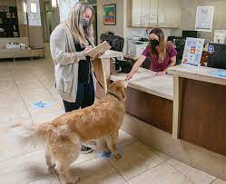 Save on affordable, comprehensive pet insurance when you sign up directly at petfirst. Your First Visit To Vca In Victorville Ca Vca Mesa Animal Hospital