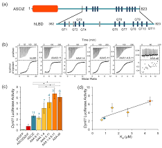 Detectors equipped with excitation and emission monochromators can change the wavelength of the excitation and you cannot know the magnitude of your fluorescence signal. Multivalency Regulates Activity In An Intrinsically Disordered Transcription Factor Elife