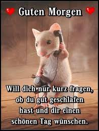 Es gibt so menschen, die springen wie neugeboren aus dem bett, bevor der wecker klingelt und sind schon vor dem ersten kaffee voller energie und tatendrang. Bilder Guten Morgen Kaffee Gbpicsbilder Com