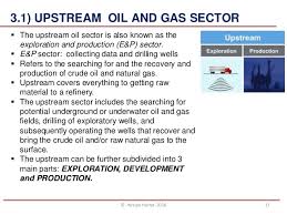 Petroleum Industry Structure