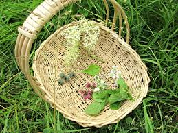 Herbs are harvested on a clear, early morning as soon as the dew has dried off. How To Dry Wild Herbs And Flowers 3 Ways Craft Invaders