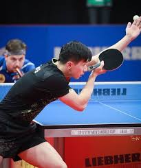 Maybe in 1995 or 1996, he did not remember the exact time. Ma Long Wiki Bio Age Net Worth Salary Married Wife Rank Kids Nationality