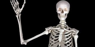 Maybe you would like to learn more about one of these? Fungsi Tulang Rusuk Untuk Lindungi Organ Vital Dada Pahami Struktur Dan Jumlahnya Merdeka Com