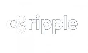 The company ripple is the creator and a developer of the ripple payment protocol and exchange network. The Strong Case For Ripple Xrp Infographic Fangwallet