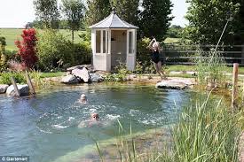 Would You Have A Natural Swimming Pool In Your Back Garden In 2020 Natural Swimming Ponds Amazing Swimming Pools Swimming Pools