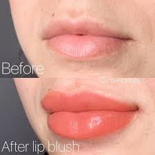Fresh Lip Blush Tattoo Healed Result Will Be 30 50 Lighter Softer Swelling Goes Down In A Couple Hours Will Look Like A Natural Fresh Lip Natural Lips Lips