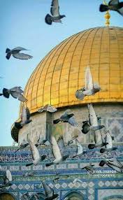 اللهم إنا نسألك صباحا تشرق فيه شمس فلسطين الحرة وتزهوا به ورود القدس وغزة والضفة العطرة وسكينة تسود Mosque Art Karbala Photography Islamic Pictures