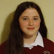 STEM initiative inspires Fermoy student to BT Young Scientist win