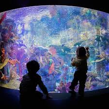 Birch Aquarium At Scripps Institution Of Oceanography Nothing Like A Coral Reef To Add A Little Color To Your Day Birch Aquarium Marine Aquarium Aquarium