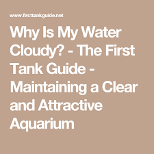 Why Is My Water Cloudy The First Tank Guide Maintaining A Clear And Attractive Aquarium Fish Care Fish Tank Cleaning Betta Fish Care