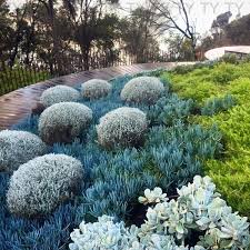 Top 10 21 Garden Landscaping Decor In 2020 Succulent Landscape Design Coastal Gardens Landscape Design