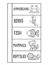 Freebie Animal Classification Foldable Animal Classification Animal Classification For Kids Biology Worksheet