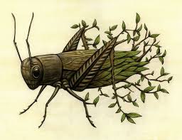 Cricket Eclectic Art Illustration Art Art