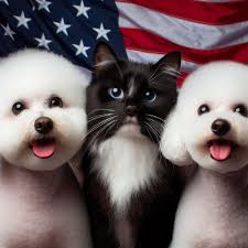 De Wolf/Paul, Clovis