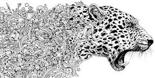 Make a coloring book with sorceress animorphia for one click. Animorphia An Extreme Coloring And Search Challenge Rosanes Kerby Amazon Sg Books