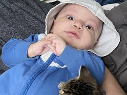 Memories of Josiah "jojo" Moni Madison-Lucas