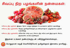 Healthy Diet Chart In Tamil Paleo Delivery Meal Plan Menu 4