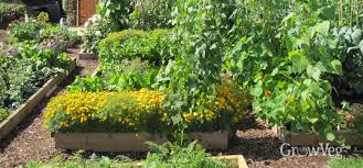 Mulch is used for flower beds, trees, gardens, leveled ground, roses, etc. Choosing The Best Position For Your Vegetable Garden