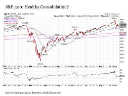 Growth of $1 and the u.s. 5 Stock Market Warning Signals For Fall 2020 Seeking Alpha