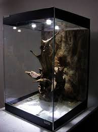 Nice And Clean Black Glass Design Snake Terrarium Reptile Tank Reptile Habitat