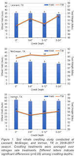 Crediting Soil Nitrogen In Wheat Can Cut Costs Without