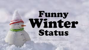 65 Funny Winter Status Captions Funny Winter Quotes