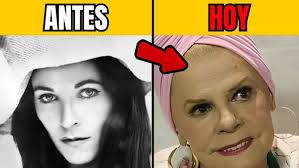 🌸Kat Barrera🌸4️⃣9️⃣ 🌟 Estreno 🌟 Rollercoaster