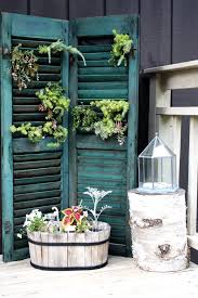 Shutters Succulent Garden Mc Jardinagem Jardim