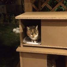 @adoremobilya 'nın projesi kapsamında temin ettiğimiz kedi evi, kendi yaptığım ısı yalıtımı ve su geçirmezlik önlemlerinden sonra sahibini buldu teşekkürler @adoremobilya pic.twitter.com/qi0qmt6kvi. Kedievimadoreden Https Www Adoremobilya Com Kedi Evi Kedi Evi Kedi