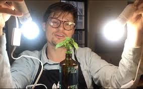 We did not find results for: Buying Guide The Best Screw In E26 Grow Light Bulbs For Indoor Plants Urban Leaf Website