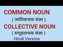 इस प्रकार के संज्ञा में किसी व्यक्ति या प्राणी, स्थान या वस्तु के संख्या के बारे में बताया जाता है. Common Noun And Collective Noun Hindi Version Youtube