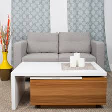 The most notable factors to check out concerning a coffee table are table finish and style since they are. Orren Ellis Alexandira Lift Top Coffee Table With Storage Reviews Wayfair
