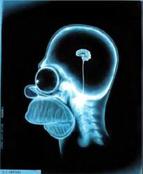 X Ray Homer Simpson X Ray Accidentally Discovered By German Scientist Homer Brain Homer Simpson Homer Simpson Brain