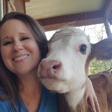 Have you used Musselbound tile adhesive with peel and stick backsplash?