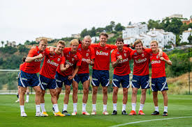 1 600 590 · обсуждают: Andreas Hanche Olsen Martin Odegaard Morten Thorsby Erling Haaland Orjan Nyland Stefan Strandberg Jens Petter Hauge And Birger Meling During Norway Training In Marbella On May 30 2021 Vegard Wivestad Grott Rossoneri