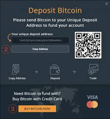 All you have to do is enter the amount against which you wish to purchase the bitcoin or enter the. How To Get Bitcoin Visa Card How To Get Bitcoin Wallet In Nigeria
