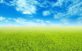 New desktop backgrounds added monthly. Free Backgrounds Wallpapers Wallpaper Cave