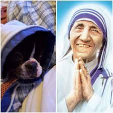 Adou Thiero's mother, Mariam Sy, was a talented basketball player too! 🏀